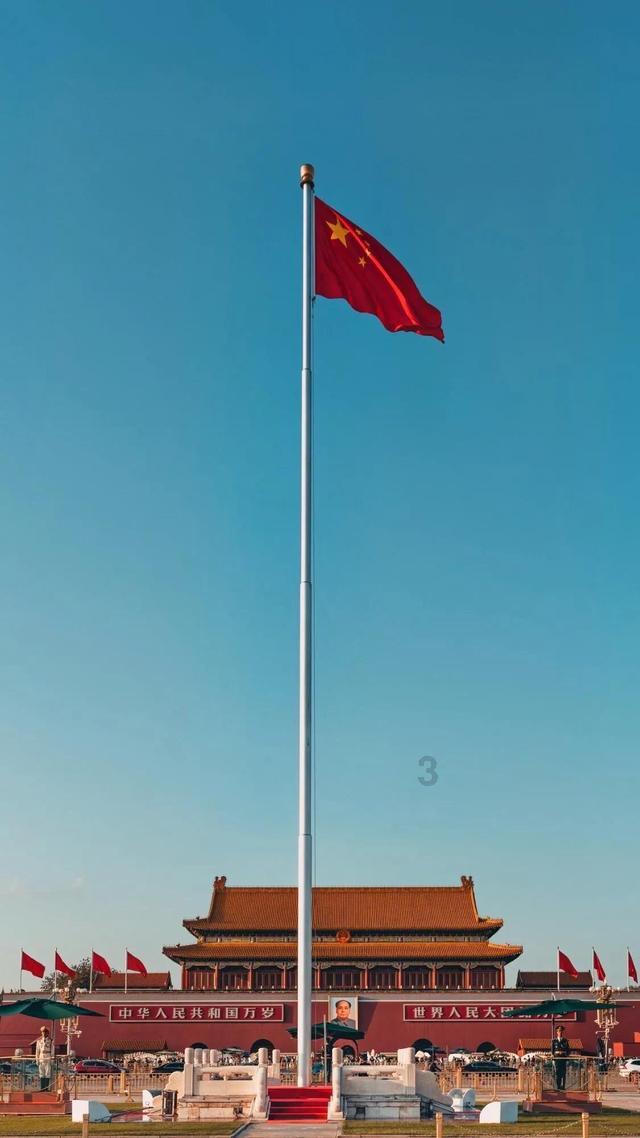 天鹅森林逃脱