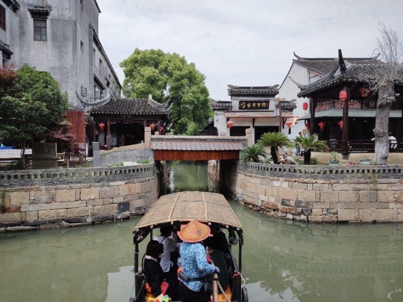 我修的可能是假仙